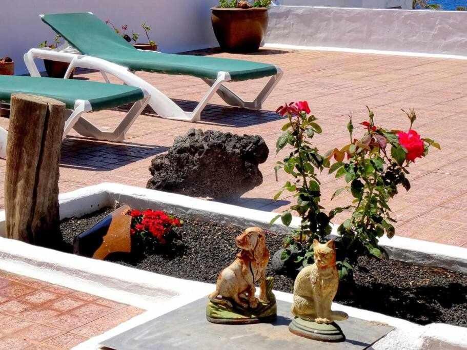 Hébergement de vacances Casa Descanso Con Jacuzzi En